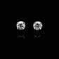14K White gold stud earrings set with round brilliant diamonds. Item J34122 - ABC Jewelry Co.