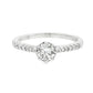 18K White gold ring featuring a round brilliant diamond center stone and accented with diamonds down the shank. Item J34776 - ABC Jewelry Co.
