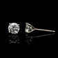 14K White gold stud earrings set with round brilliant diamonds. Item J37804 - ABC Jewelry Co.