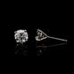 14K White gold stud earrings set with round brilliant diamonds. Item J37948 - ABC Jewelry Co. 
