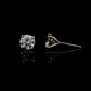 14K White gold stud earrings set with round brilliant diamonds. Item J37987 - ABC Jewelry Co. 