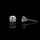 14K White gold stud earrings set with round brilliant diamonds. Item J38154 - ABC Jewelry Co