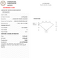 Lab Grown Diamond - Cushion Modified - 3.57 Carat Weight