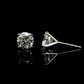 14K White gold studs set with round brilliant diamonds. Item J37952 - ABC Jewelry Co. 