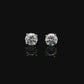 14K White gold stud earrings set with round brilliant diamonds. Item J37804 - ABC Jewelry Co.