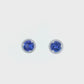 14K White Gold - Tanzanite & Diamond Earrings - J37858